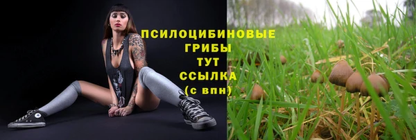 СК Михайловка