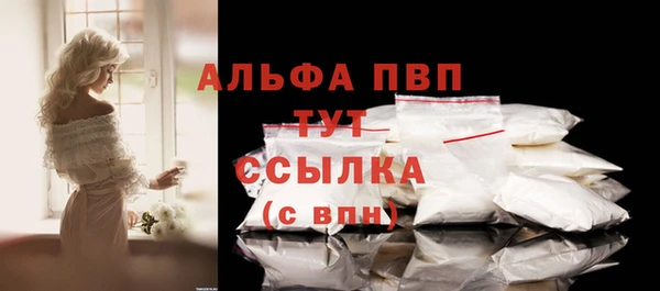 гашик Мегион