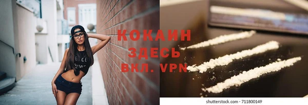 тгк Медногорск