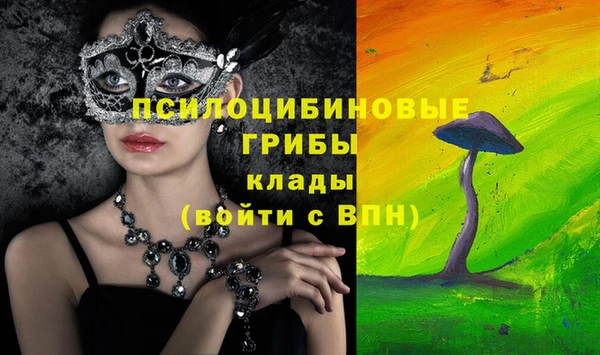 тгк Медногорск