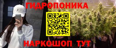 гидропоника Бийск