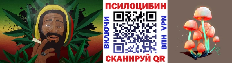 Псилоцибиновые грибы Magic Shrooms  блэк спрут сайт  Шуя 