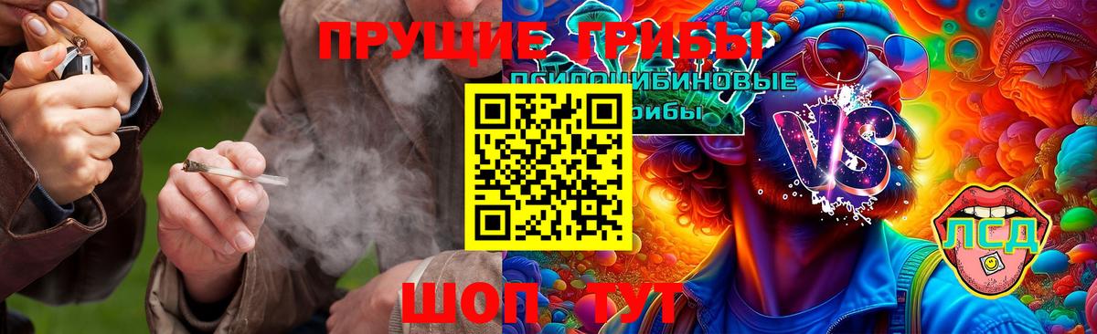 Псилоцибиновые грибы Magic Shrooms Шуя