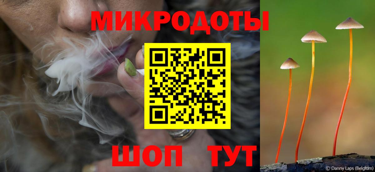 Галлюциногенные грибы мухоморы  Псилоцибиновые грибы Psilocybine cubensis  Шуя 